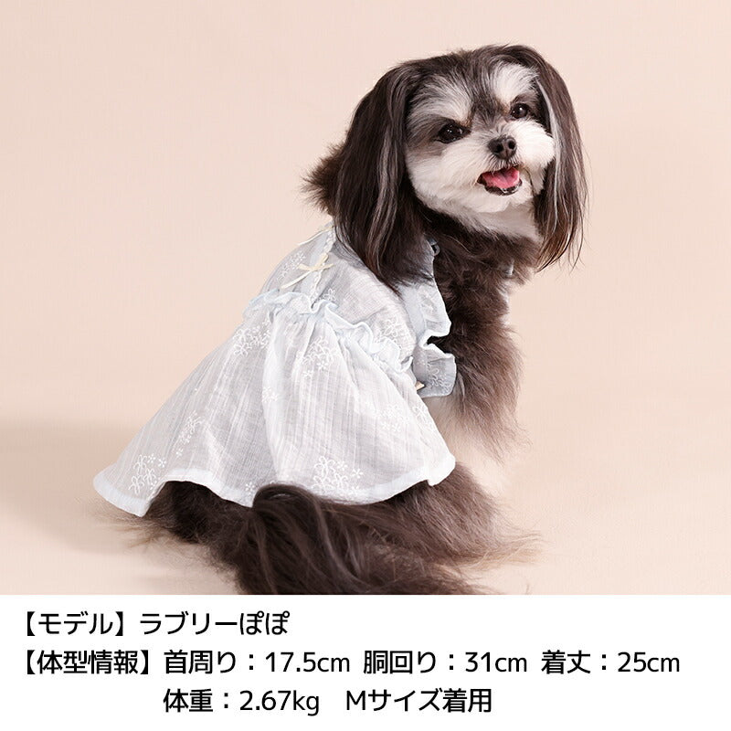 ビスチェ風ワンピ XS/S/M/L/XL/XXL Un TouTou -アントゥトゥ- 犬服 ドッグウェア UT26SS ut261120