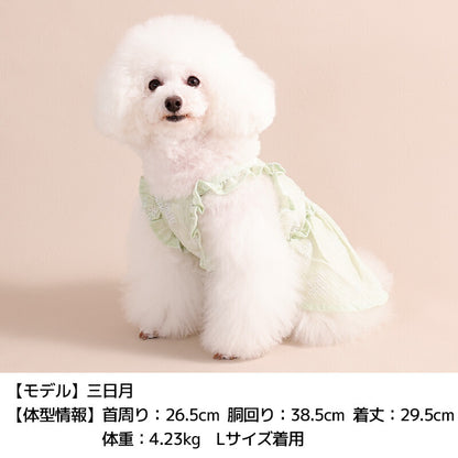 ビスチェ風ワンピ XS/S/M/L/XL/XXL Un TouTou -アントゥトゥ- 犬服 ドッグウェア UT26SS ut261120