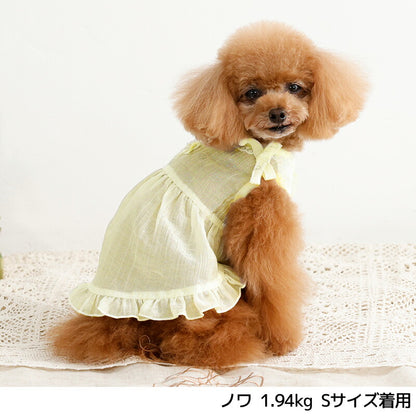 レーシーラメワンピ XS/S/M/L/XL/XXL Un TouTou -アントゥトゥ- 犬服 ドッグウェア UT26SS ut261123