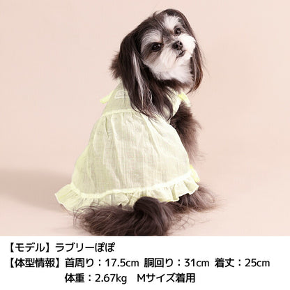 レーシーラメワンピ XS/S/M/L/XL/XXL Un TouTou -アントゥトゥ- 犬服 ドッグウェア UT26SS ut261123