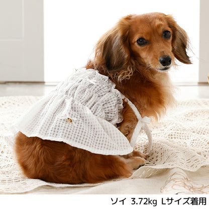 ティアードキャミワンピ XS/S/M/L/XL/XXL Un TouTou -アントゥトゥ- 犬服 ドッグウェア UT26SS ut261125