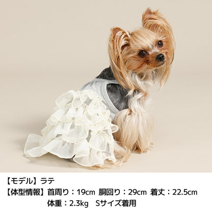 キャミフリルワンピ XS/S/M/L/XL/XXL Un TouTou -アントゥトゥ- 犬服 ドッグウェア UT26SS ut261126
