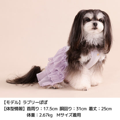 キャミフリルワンピ XS/S/M/L/XL/XXL Un TouTou -アントゥトゥ- 犬服 ドッグウェア UT26SS ut261126