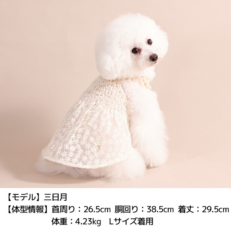 花柄レースワンピ XS/S/M/L/XL/XXL Un TouTou -アントゥトゥ- 犬服