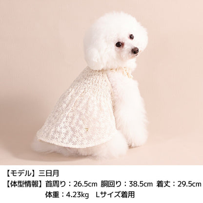 花柄レースワンピ XS/S/M/L/XL/XXL Un TouTou -アントゥトゥ- 犬服 ドッグウェア UT26SS ut261127