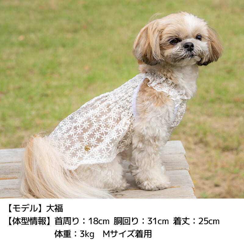 花柄レースワンピ XS/S/M/L/XL/XXL Un TouTou -アントゥトゥ- 犬服