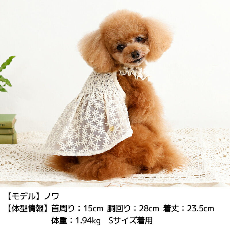 花柄レースワンピ XS/S/M/L/XL/XXL Un TouTou -アントゥトゥ- 犬服