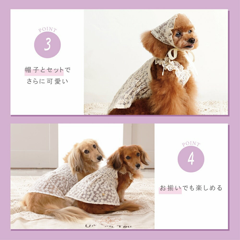 花柄レースワンピ XS/S/M/L/XL/XXL Un TouTou -アントゥトゥ- 犬服