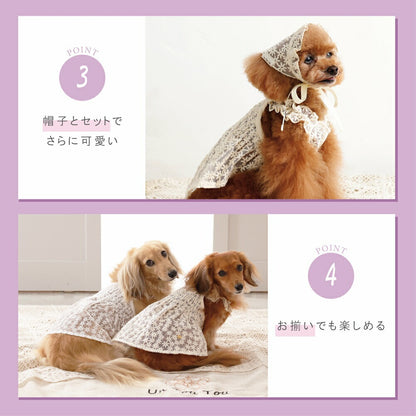 花柄レースワンピ XS/S/M/L/XL/XXL Un TouTou -アントゥトゥ- 犬服 ドッグウェア UT26SS ut261127