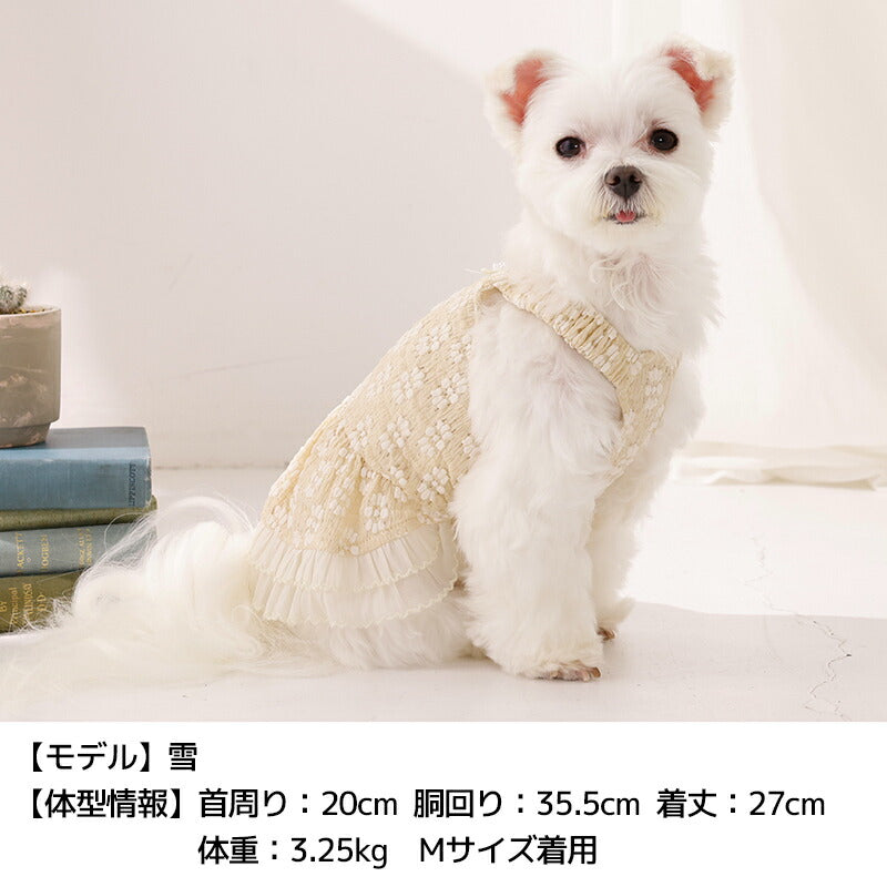 エプロン風ワンピ XS/S/M/L/XL/XXL Un TouTou -アントゥトゥ- 犬服