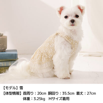 エプロン風ワンピ XS/S/M/L/XL/XXL Un TouTou -アントゥトゥ- 犬服 ドッグウェア UT26SS ut261130