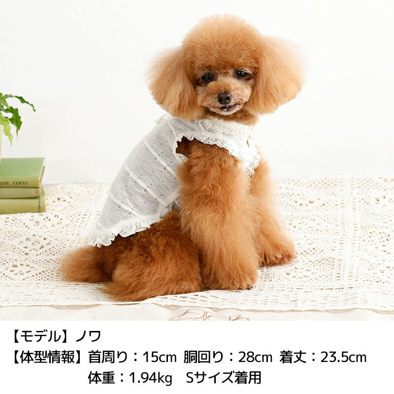 透かし生地レースタンク XS/S/M/L/XL/XXL/DS/DM Un TouTou -アントゥトゥ- 犬服 ドッグウェア UT26SS ut261132