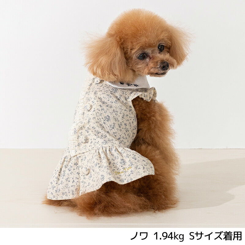 小花柄刺しゅう襟ワンピ XS/S/M/L/XL/XXL Un TouTou -アントゥトゥ- 犬服 ドッグウェア UT26AW ut261137
