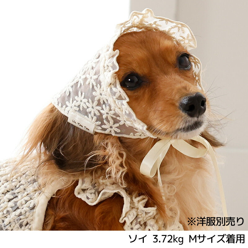 レース生地帽子 S/M/L Un TouTou -アントゥトゥ- 犬用 UT26SS ut262148
