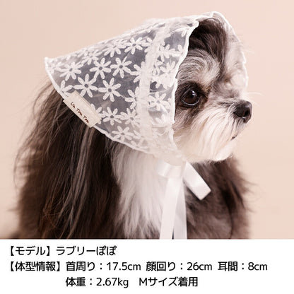 レース生地帽子 S/M/L Un TouTou -アントゥトゥ- 犬用 UT26SS ut262148