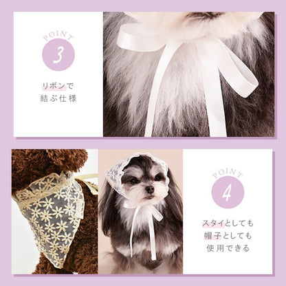 レース生地帽子 S/M/L Un TouTou -アントゥトゥ- 犬用 UT26SS ut262148