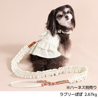 フリルリード Free Un TouTou -アントゥトゥ- 犬用 UT26SS ut269159