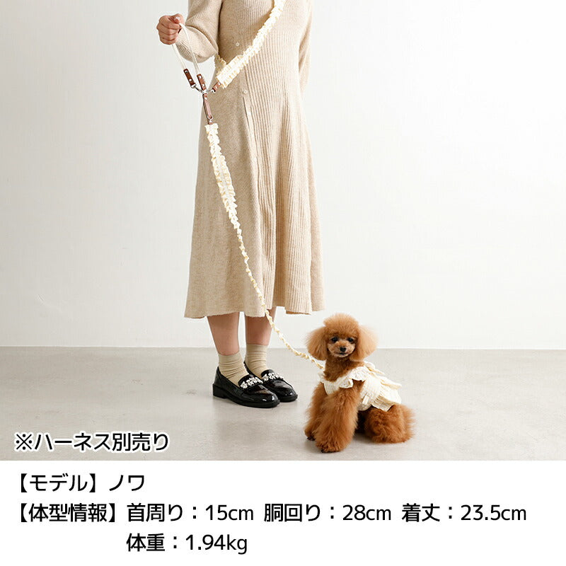 フリルリード Free Un TouTou -アントゥトゥ- 犬用 UT26SS ut269159