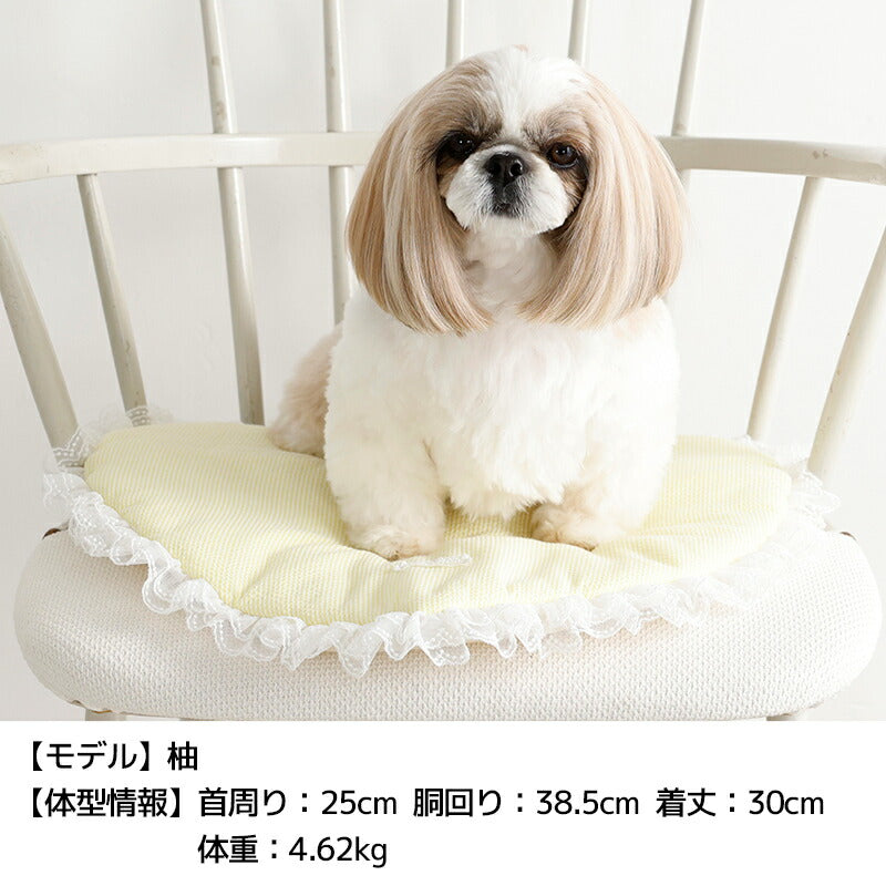 早期希少　heihei チャイナボタンチュールワンピース　シーズー犬モチーフ フリルハートベッド Free Un TouTou -アントゥトゥ- 犬用 UT26SS