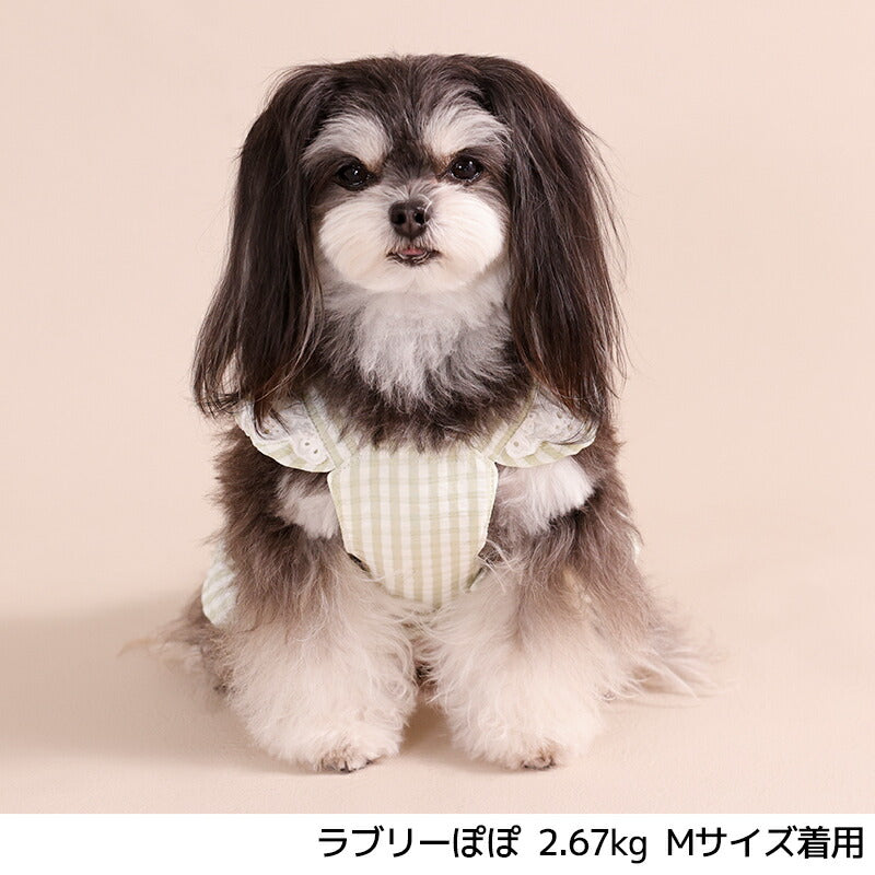 フリルリボンハーネス S/M/L Un TouTou -アントゥトゥ- 犬用 UT26SS ut269165