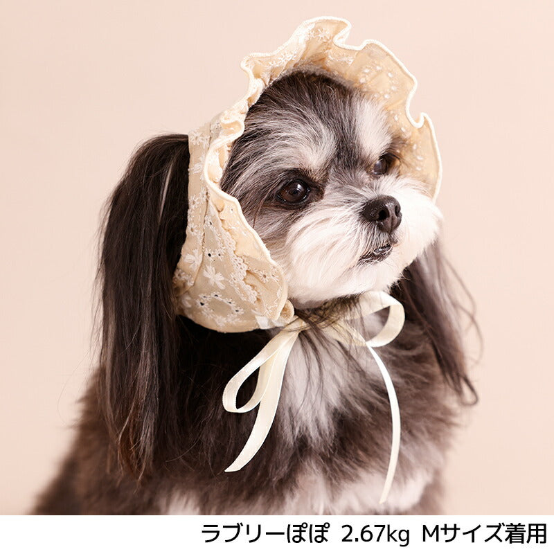 ナチュラルレース生地帽子 S/SM/M/L Un TouTou -アントゥトゥ- 犬用 UT26SS ut262166