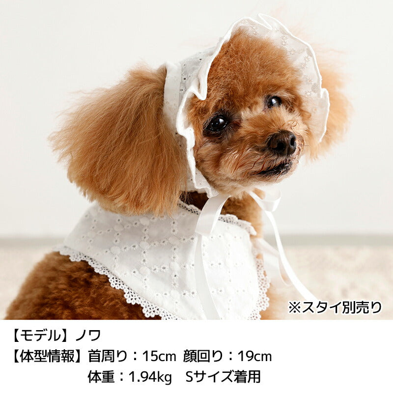 ナチュラルレース生地帽子 S/SM/M/L Un TouTou -アントゥトゥ- 犬用 UT26SS ut262166
