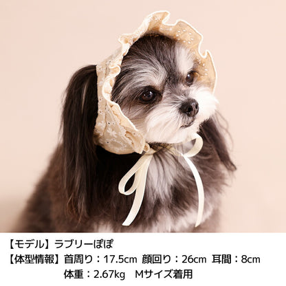 ナチュラルレース生地帽子 S/SM/M/L Un TouTou -アントゥトゥ- 犬用 UT26SS ut262166