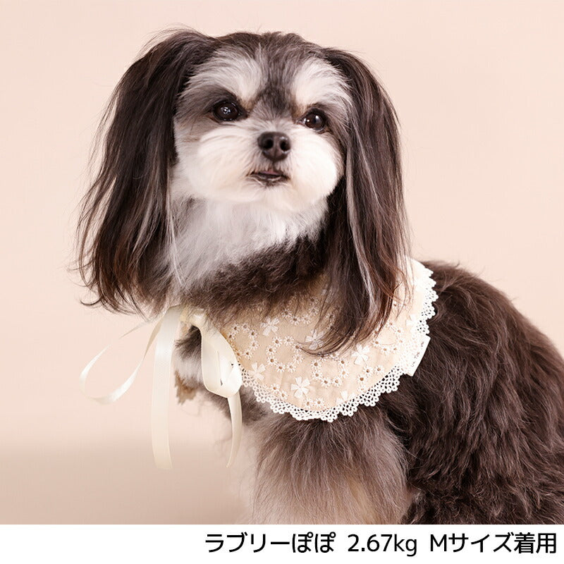 ナチュラルレーススタイ S/M/L Un TouTou -アントゥトゥ- 犬用 UT26SS ut262167