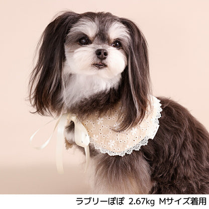 ナチュラルレーススタイ S/M/L Un TouTou -アントゥトゥ- 犬用 UT26SS ut262167