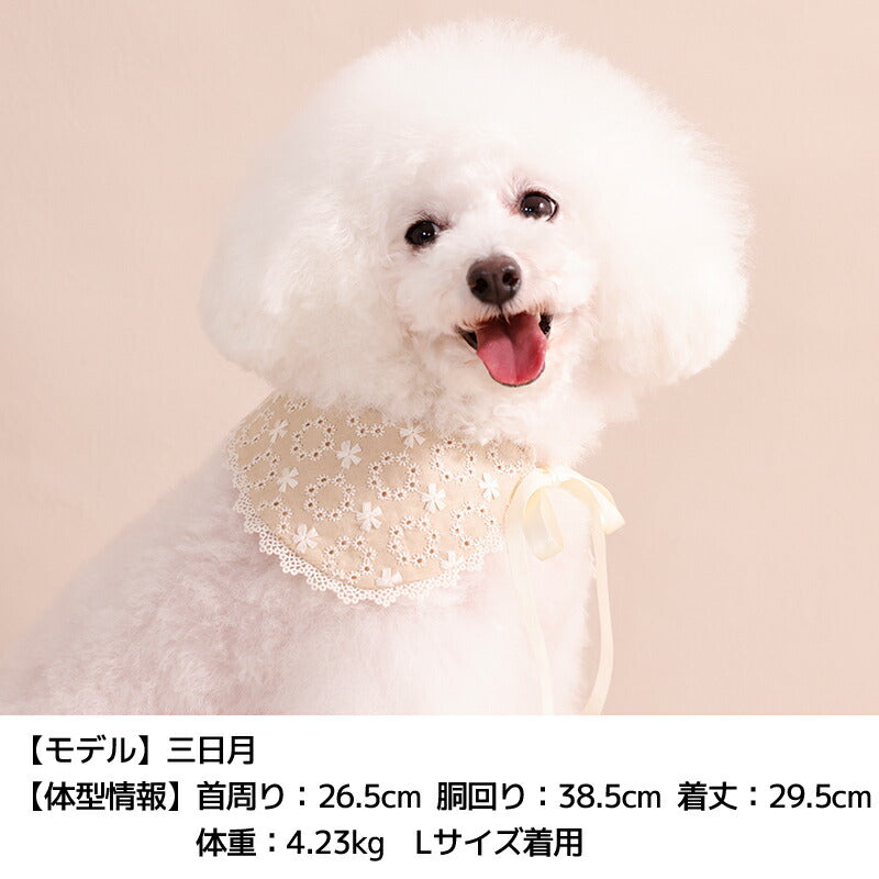ナチュラルレーススタイ S/M/L Un TouTou -アントゥトゥ- 犬用 UT26SS