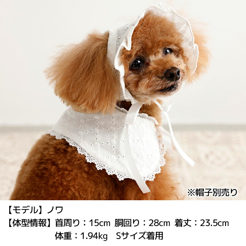 ナチュラルレーススタイ S/M/L Un TouTou -アントゥトゥ- 犬用 UT26SS ut262167