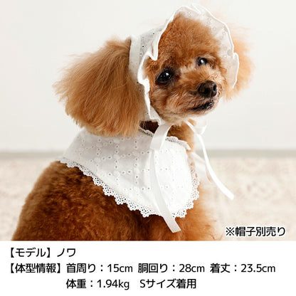 ナチュラルレーススタイ S/M/L Un TouTou -アントゥトゥ- 犬用 UT26SS ut262167