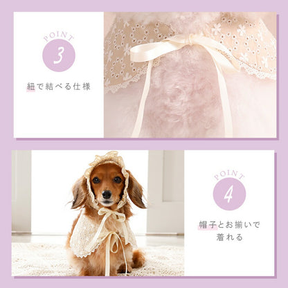 ナチュラルレーススタイ S/M/L Un TouTou -アントゥトゥ- 犬用 UT26SS ut262167