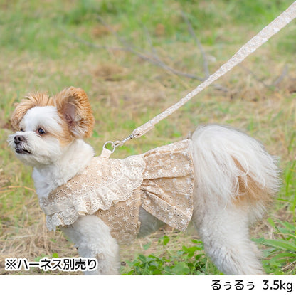 ナチュラルレースリード Free Un TouTou -アントゥトゥ- 犬用 UT26SS ut269170