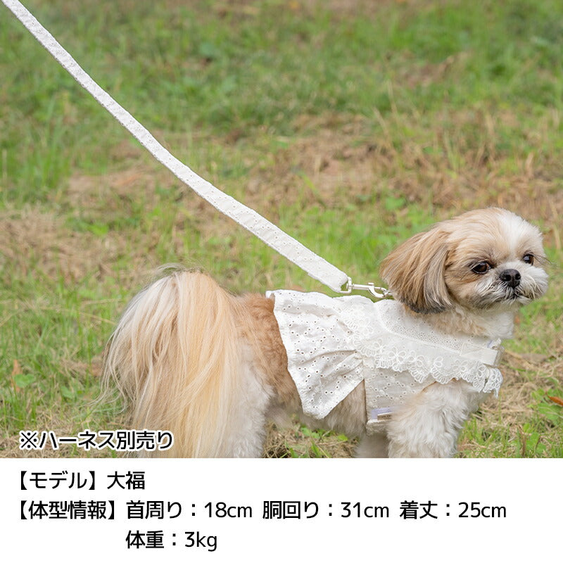 ナチュラルレースリード Free Un TouTou -アントゥトゥ- 犬用 UT26SS ut269170