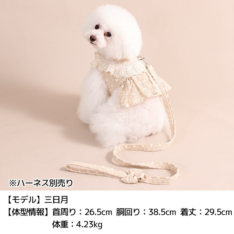ナチュラルレースリード Free Un TouTou -アントゥトゥ- 犬用 UT26SS ut269170