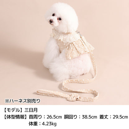 ナチュラルレースリード Free Un TouTou -アントゥトゥ- 犬用 UT26SS ut269170
