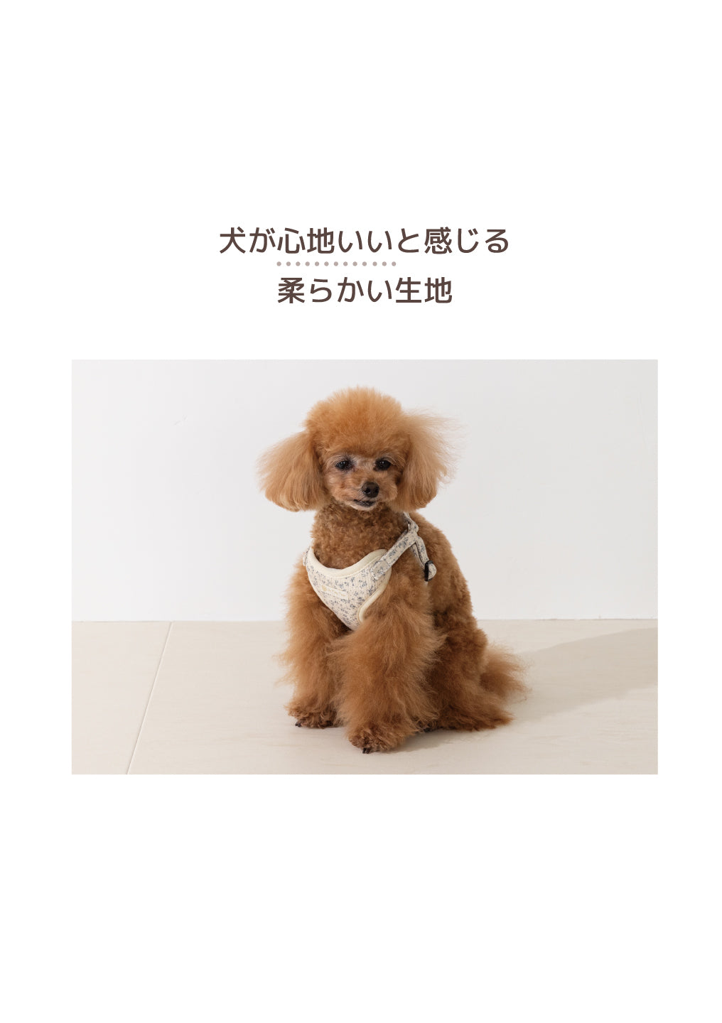 花柄ハーネス Un TouTou -アントゥトゥ- 犬用 UT26AW ut269176