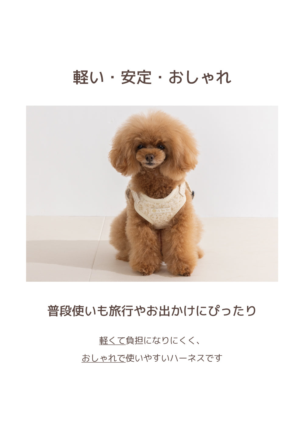 花柄ハーネス Un TouTou -アントゥトゥ- 犬用 UT26AW ut269176