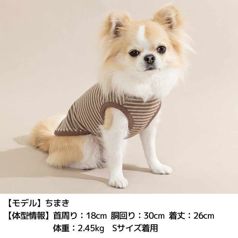 ボーダータンク XS/S/M/L/XL/XXL/DS/DM Un TouTou -アントゥトゥ- 犬服 ドッグウェア UT26AW ut261200