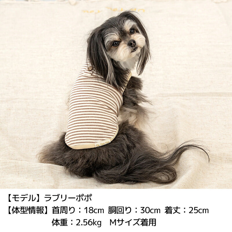 ボーダータンク XS/S/M/L/XL/XXL/DS/DM Un TouTou -アントゥトゥ- 犬服 ドッグウェア UT26AW ut261200