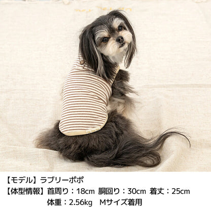 ボーダータンク XS/S/M/L/XL/XXL/DS/DM Un TouTou -アントゥトゥ- 犬服 ドッグウェア UT26AW ut261200