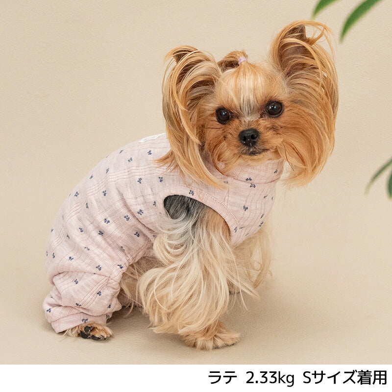 リボン柄ロンパース XS/S/M/L/XL/XXL/DS/DM Un TouTou -アントゥトゥ- 犬服 ドッグウェア UT26AW ut261201