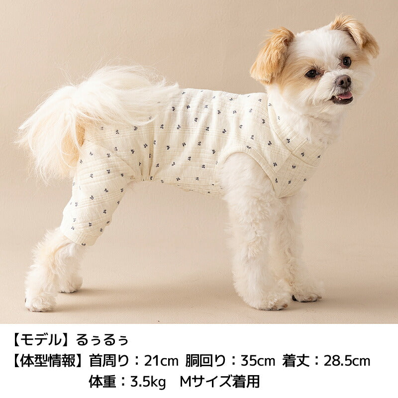リボン柄ロンパース XS/S/M/L/XL/XXL/DS/DM Un TouTou -アントゥトゥ- 犬服 ドッグウェア UT26AW ut261201