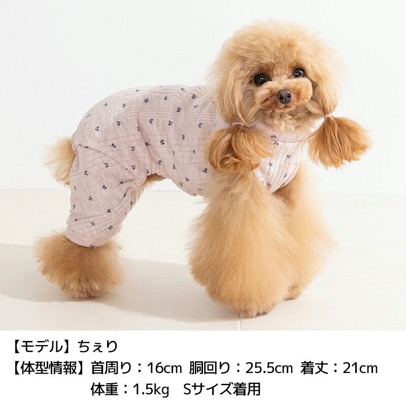 リボン柄ロンパース XS/S/M/L/XL/XXL/DS/DM Un TouTou -アントゥトゥ- 犬服 ドッグウェア UT26AW ut261201