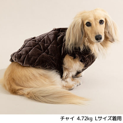 ベロアキルティングアウター XS/S/M/L/XL/XXL/DS/DM Un TouTou -アントゥトゥ- 犬服 ドッグウェア UT26AW ut261213