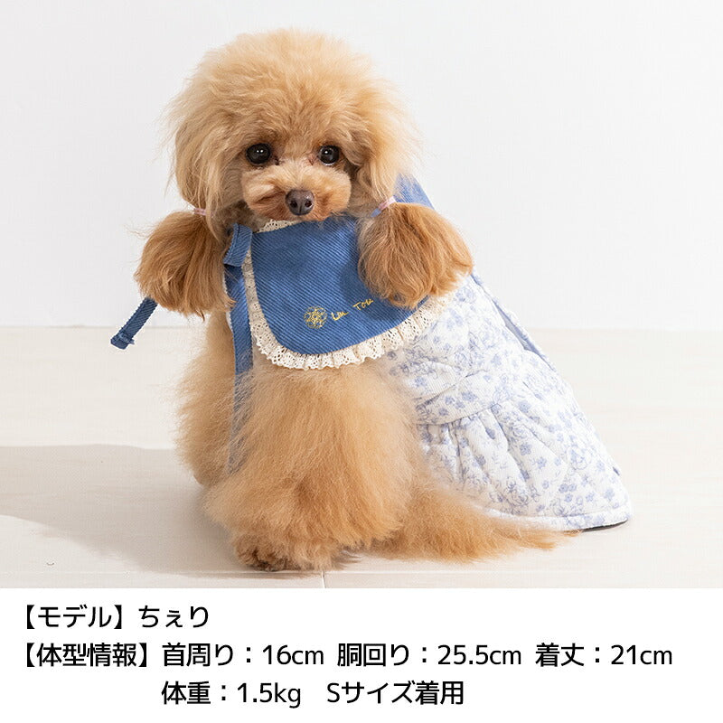 ティペット付きワンピ XS/S/M/L/XL/XXL Un TouTou -アントゥトゥ- 犬服 ドッグウェア UT26AW ut261228