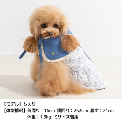 ティペット付きワンピ XS/S/M/L/XL/XXL Un TouTou -アントゥトゥ- 犬服 ドッグウェア UT26AW ut261228