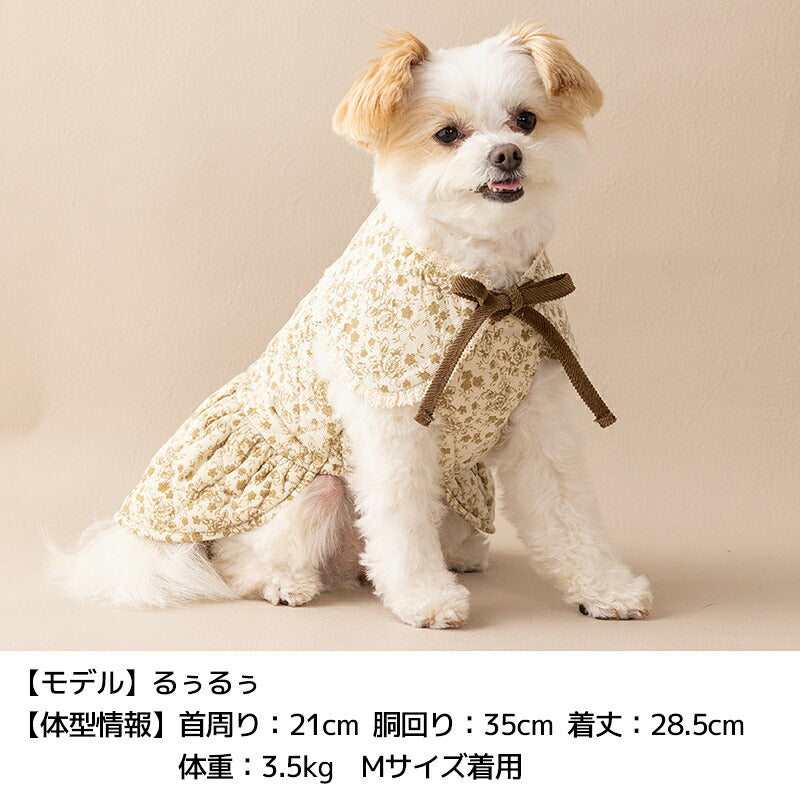 ティペット付きワンピ XS/S/M/L/XL/XXL Un TouTou -アントゥトゥ- 犬服 ドッグウェア UT26AW ut261228