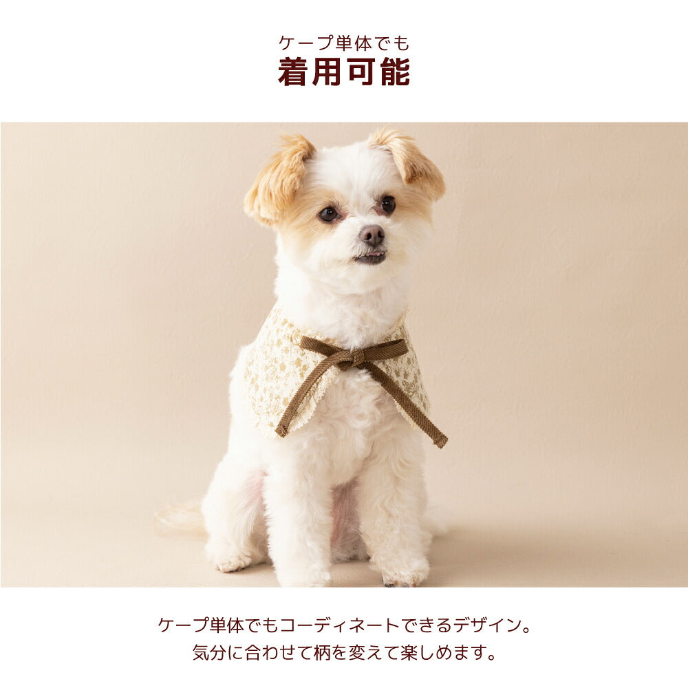 ティペット付きワンピ XS/S/M/L/XL/XXL Un TouTou -アントゥトゥ- 犬服 ドッグウェア UT26AW ut261228